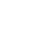 300+ Professional Staff
