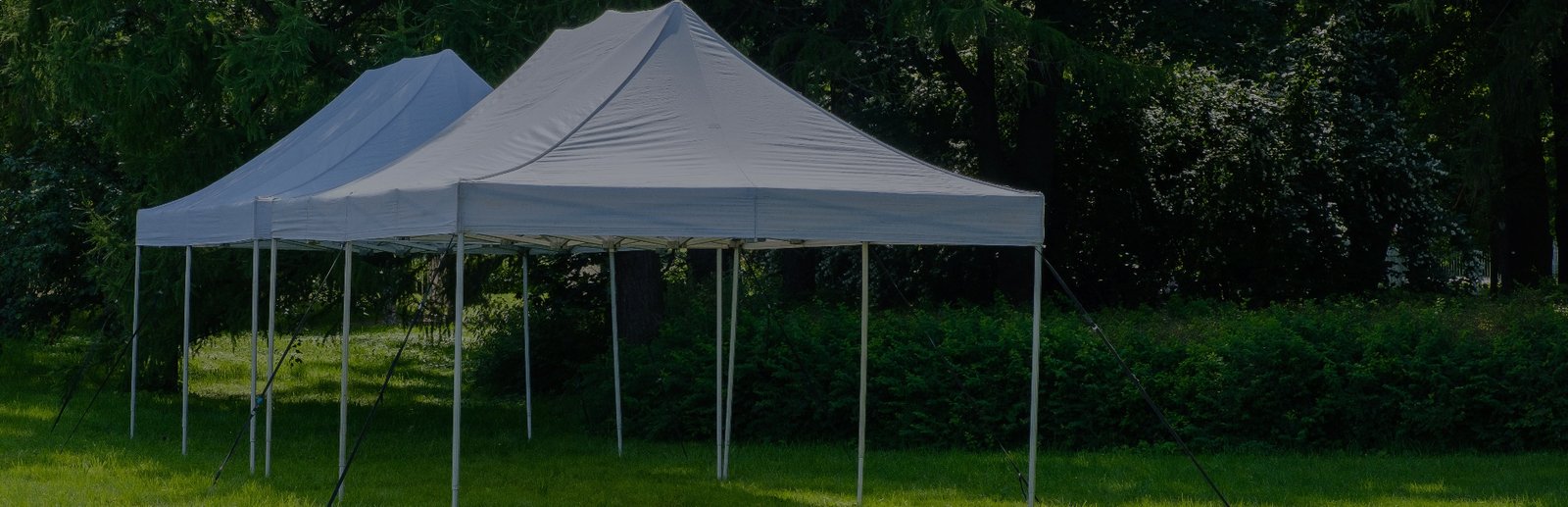 Foerstine Canopy Tent Beneficial to Your Endeavors Soar