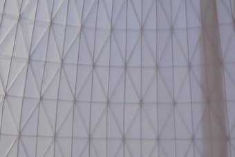 Projection Fabric for Geodesic Dome