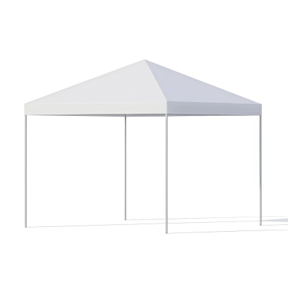 10x10 Frame Tent