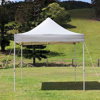 White 10x10 Canopy Tent