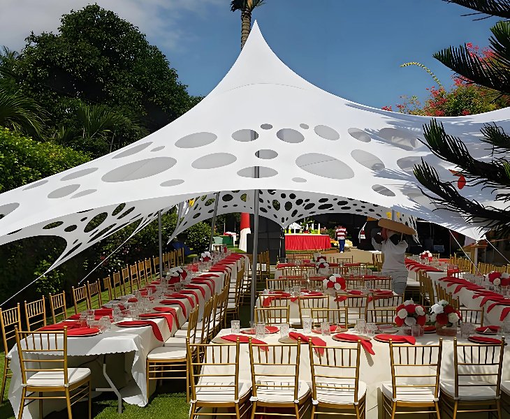 wholesale cheese tent