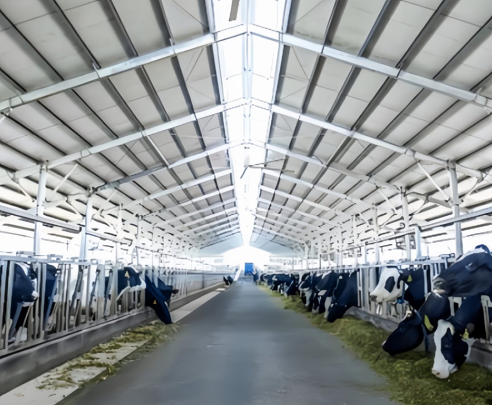 Modular Livestock Tent
